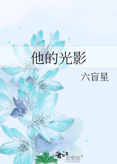 他的光影六盲星txt