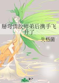 掰弯情敌完成系统的任务