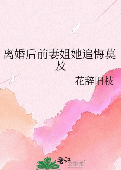 离婚后前妻姐崩溃了免费阅读