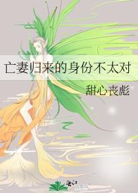 亡妻归来的身份不对txt