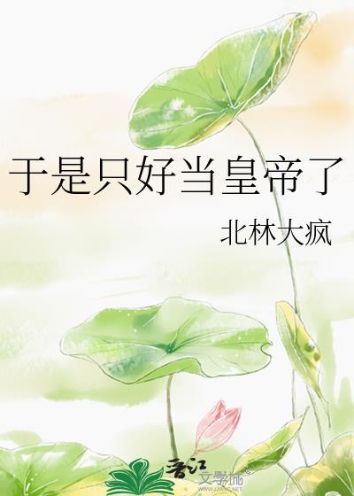 于是只好当皇帝了