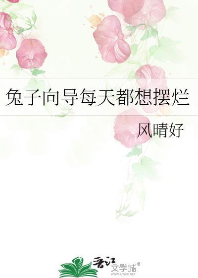兔子向导每天都想摆烂